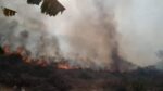 Se activa incendio forestal en Cosalá, PC ya trabaja para extinguirlo
