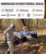 Grupo Interinstitucional asegura este domingo 12 laboratorios clandestinos en Culiacán, Cosalá y Mocorito