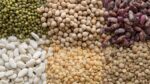 Día Mundial de las Legumbres, 10 de febrero