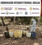 Grupo Interinstitucional asegura 12 laboratorios más en Culiacán y Cosalá