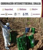 Grupo Interinstitucional asegura 11 laboratorios más en Culiacán y Cosalá