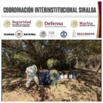 Grupo Interinstitucional asegura 14 laboratorios en Culiacán y Cosalá