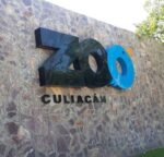 Culiacanenses visitan Zoológico de Culiacán este puente; disfrutan de las instalaciones