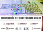 Grupo Interinstitucional asegura dosis de diferentes drogas en Escuinapa