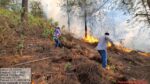 Incendio forestal en Chirimoyos, Concordia se encuentra controlado por autoridades: SEBIDES