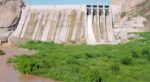 Mortandad de peces en la presa Huites es un fenómeno ambiental que está avisando sobre situaciones más complejas que están por venir