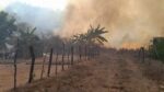 Sinaloa registra 8 incendios forestales en lo que va del 2025