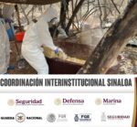 Grupo Interinstitucional asegura laboratorio clandestino en Cosalá