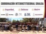 Grupo Interinstitucional asegura madera en Mazatlán