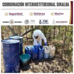Grupo Interinstitucional aseguró 6 laboratorios clandestinos en Culiacán y Cosalá