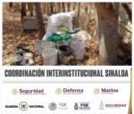Nuevamente en Culiacán y Cosalá, el Grupo Interinstitucional aseguró 10 laboratorios clandestinos