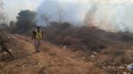 Sinaloa ha registrado 35 incendios forestales en lo que va del año