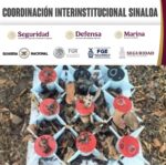 Grupo Interinstitucional asegura 9 artefactos explosivos improvisados en el municipio de Concordia