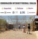 Grupo Interinstitucional rescata aves exóticas en Mazatlán