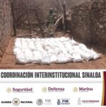 Grupo Interinstitucional asegura un laboratorio clandestino y un área de concentración de productos químicos en Culiacán y Choix