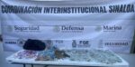 En Mazatlán, el Grupo Interinstitucional asegura mochila con arma de fuego, municiones y droga