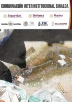 En Elota, Grupo Interinstitucional asegura inmueble usado como invernadero de marihuana