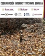 En Elota, grupo interinstitucional asegura y desactiva artefacto explosivo En Elota, grupo interinstitucional asegura y desactiva artefacto explosivo