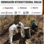 En Cosalá, Grupo Interinstitucional asegura un laboratorio inactivo, áreas de concentración de sustancias y localiza plantío de marihuana