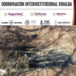 En San Ignacio, Grupo Interinstitucional asegura armamento en tareas de reconocimiento En San Ignacio, Grupo Interinstitucional asegura armamento en tareas de reconocimiento