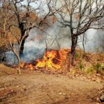 Incendio en Concordia ya está controlado; en Badiraguato se continúan con los trabajos