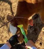 UGRS facilita trámites con ventanillas itinerantes en todo Sinaloa para actualización de UPP y el aretado oficial de ganado