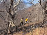 No hay incendios activos en Sinaloa, señala Sebides No hay incendios activos en Sinaloa, señala Sebides