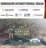 Grupo Interinstitucional asegura arma larga, municiones, aditamentos lanzagranadas y droga en Culiacán