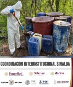 En Culiacán y Cosalá, el Grupo Interinstitucional asegura y destruye 4 áreas de concentración para la elaboración de drogas