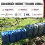 Neutralizan dos laboratorios en Sinaloa y evitan la distribución de casi 5 toneladas de metanfetamina