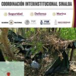 Grupo Interinstitucional inhabilitó campamento utilizado por la delincuencia organizada en San Ignacio