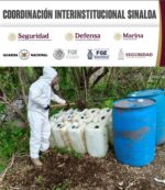 En Cosalá, Grupo Interinstitucional asegura y destruye 2 áreas de concentración de material para la elaboración de drogas