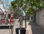 Universidad Autónoma de Sinaloa, informa a su comunidad y a la sociedad en general, el lamentable incendio ocurrido esta mañana