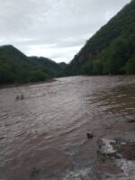 Lluvias traen esperanza a las montañas de Badiraguato