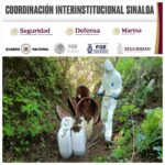 En Cosalá, Grupo Interinstitucional asegura y destruye dos áreas de concentración para la elaboración de drogas