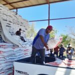 Productores agrícolas de Sinaloa reciben apoyos del Programa Fertilizantes para el Bienestar