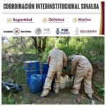 Grupo Interinstitucional asegura y destruye dos áreas de concentración para la elaboración de drogas en Cosalá