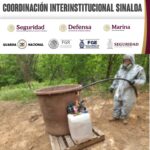 Grupo Interinstitucional localizó y destruyó cinco áreas de almacenamiento de material para elaborar drogas en Culiacán y Cosalá