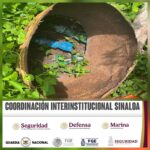 En distintas acciones en Escuinapa y Rosario, Grupo Interinstitucional aseguró y desactivó cuatro artefactos explosivos En distintas acciones en Escuinapa y Rosario, Grupo Interinstitucional aseguró y desactivó cuatro artefactos explosivos