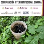 El Grupo Interinstitucional asegura cinco artefactos explosivos en Culiacán