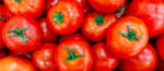 México establece precios mínimos de exportación para el tomate fresco tras fin del acuerdo antidumping con EE. UU. México establece precios mínimos de exportación para el tomate fresco tras fin del acuerdo antidumping con EE. UU.
