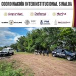 En Mocorito, el Grupo Interinstitucional asegura y destruye un área de concentración de sustancias para la elaboración de drogas