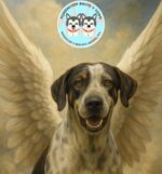 Fiscalía programa audiencia para el agresor de Bobby, el perrito atacado a machetazos