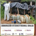 En Culiacán, Cosalá y Elota, el Grupo Interinstitucional asegura y destruye cinco áreas de almacenamiento de materiales químicos