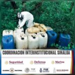 En Culiacán y Cosalá, el Grupo Interinstitucional asegura y destruye siete áreas de almacenamiento de materiales químicos y un laboratorio inactivo