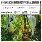 Grupo Interinstitucional asegura y destruye 3 áreas de almacenamiento de materiales químicos y 2 laboratorios inactivos