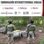Grupo Interinstitucional localizó y destruyó cuatro áreas de concentración de precursores químicos para la elaboración de drogas en Cosalá y Culiacán