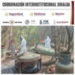 En Culiacán, Elota y Cosalá, Grupo Interinstitucional asegura 14 áreas de concentración de químicos y 3 laboratorios inactivos para la elaboración de drogas
