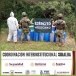 El Grupo Interinstitucional asegura y destruye 3 áreas de almacenamiento de materiales químicos