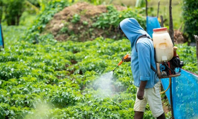 México prohíbe comercialización y uso de plaguicidas